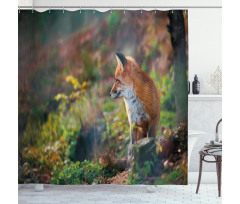 Young Wild Fox in Woodland Shower Curtain