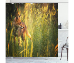 Vixen Mammal Summer Forest Shower Curtain