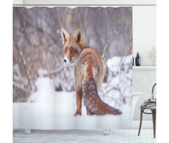 Snowy Country Furry Animal Shower Curtain