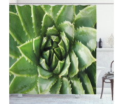 Green Leaf Exotic Mexico Shower Curtain