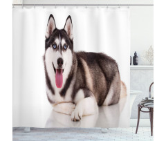 Funny Siberian Shower Curtain