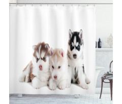 Puppy Friends Shower Curtain