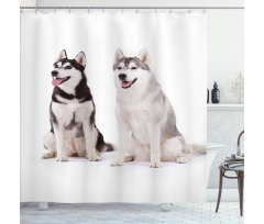 Furry Doggies Shower Curtain