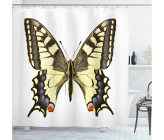 Old Papilio Shower Curtain