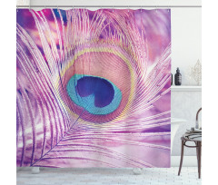 Close up Peacock Plume Shower Curtain