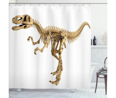 Fossil Dino Skeleton Shower Curtain