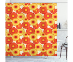 Gerbera Petals Graphic Shower Curtain