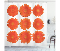 Daisy Bouquet Botanical Shower Curtain