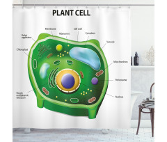 Cell Biology Plant Shower Curtain