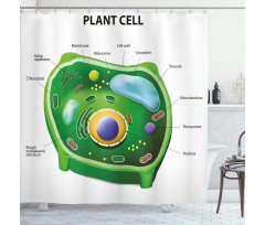 Öğretici Duş Perdesi Bitki Hücresi Desenli