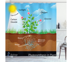 Plant Diagram Style Shower Curtain