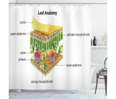 Leaf Names Theme Shower Curtain