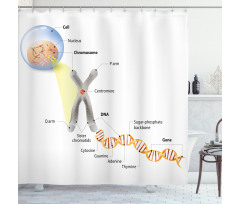 DNA Gene Genome Shower Curtain