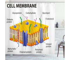 Membrane Cell Types Shower Curtain