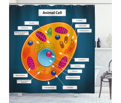 Science at School Shower Curtain