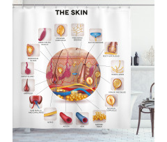 Skin Anatomy Veins Shower Curtain