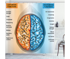 Left Right Brain Shower Curtain