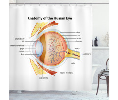 Eye Cornea Pupils Shower Curtain