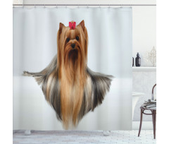 Groomed Hair Shower Curtain