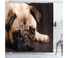 Puppy Photograph Animals Shower Curtain