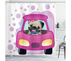 Dog Driving on Car Shower Curtain