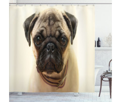 Pure Bred Dog Photograph Shower Curtain