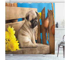 Puppy Photography on Bench Shower Curtain