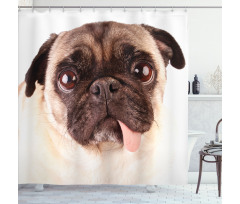Upset Dog Sad Eyed Pet Shower Curtain