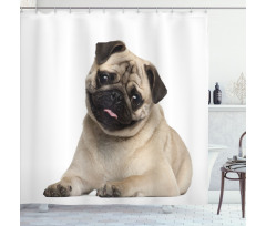 Young Puppy Lying on Floor Shower Curtain