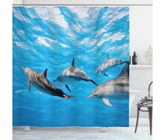 Happily Swimming Fish Shower Curtain