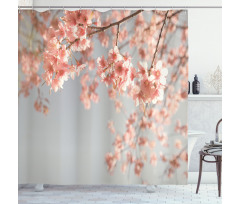 Scenery Sakura Trees Shower Curtain