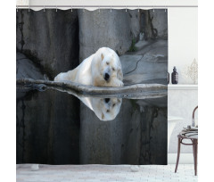 Sleeping Calm Zoo Animal Shower Curtain