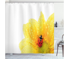 Ladybug Shower Curtain