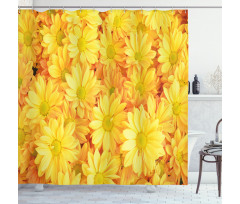 Lively Dasies Shower Curtain