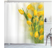Romantic Tulips Shower Curtain