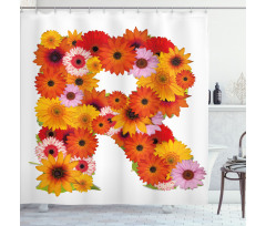 Gerbera Daisies Style Shower Curtain