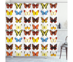 Butterflies Many Shapes Shower Curtain