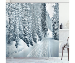 Ski Theme Snowy Road Shower Curtain