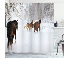 Horses in Snowy Forest Shower Curtain