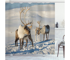 Reindeers Norway Caribou Shower Curtain
