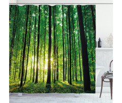 Green Woodland Sunrise Shower Curtain