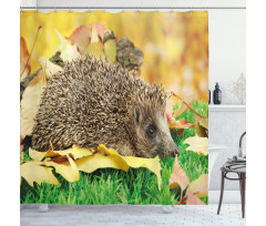 Little Hedgehog Shower Curtain