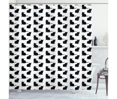 Playful Black Kittens Shower Curtain