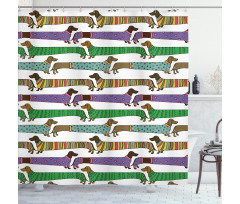 Dachshunds in Clothes Shower Curtain