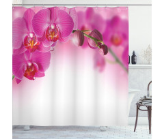 Exotic Orchid Feng Shui Shower Curtain