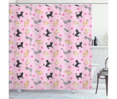 Colorful Different Cats Shower Curtain