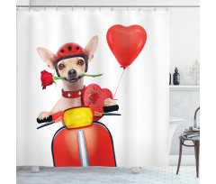 Romantic Chihuahua Shower Curtain