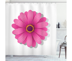 Gerbera Daisy Shower Curtain