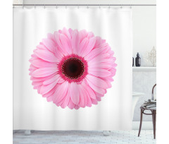 Gerber Daisy Shower Curtain