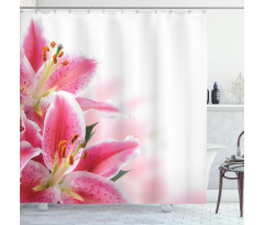 Lilies Bouquet Shower Curtain